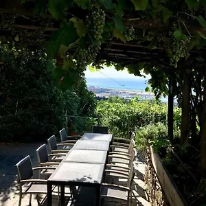  Agroturismo Agriturismo Fattoria Montecontessa Italia